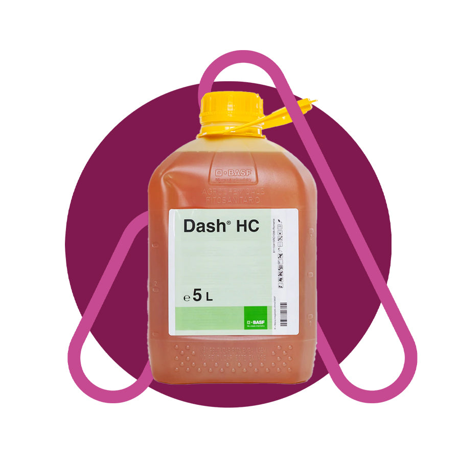 Dash HC
